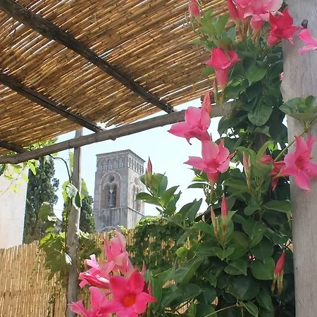 Hotel Gelsomino *