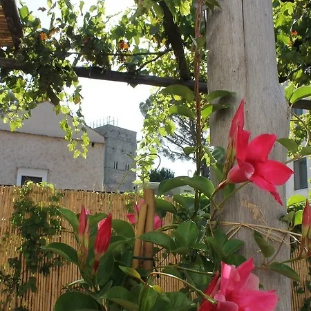 Gelsomino Hotel *